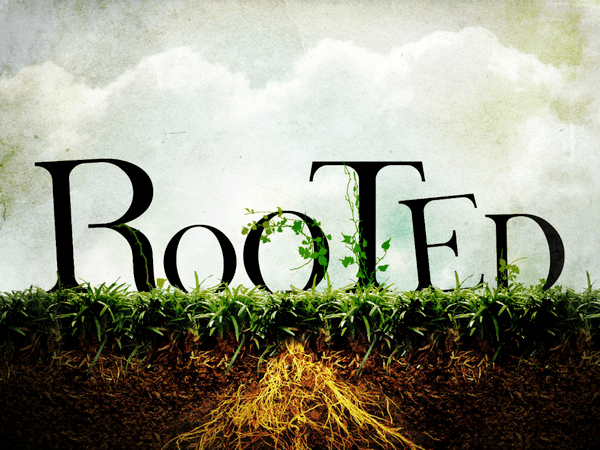 rooted.png