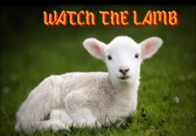 watch the lamb.png