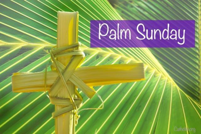 Palm SUnday 3